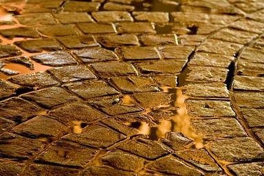  After the Rain